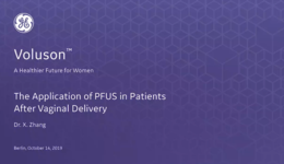  2019 ISUOG - The Application of PFUS in Patients After Vaginal Delivery (Dr. Zhang)