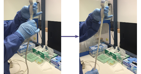 Step by Step guide for disinfecting your Probes (GEHC)
