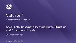 ISUOG 2018 - Novel Fetal Imaging: Assessing Organ Structure and Function with e4D with Dr. Sinkovskaya
