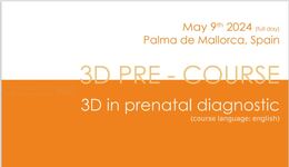 3D Ultrasound Prenatal Course