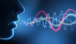 Voice Recognition – Learning from You