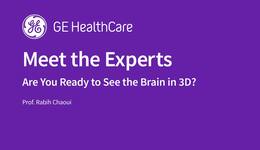 Are You Ready to See the Brain in 3D? 