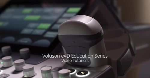  Voluson Expert e4D VCI Education Video