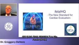 (한글자막) ISUOG 2020 - fetalHQ, the New Standard for Cardiac Evaluation (Dr. DeVore)