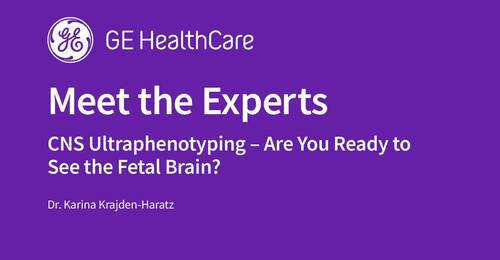 CNS Ultraphenotyping. Are You Ready to See the Fetal Brain?