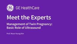 Management of Twin Pregnancy. Basic Role of Ultrasound.