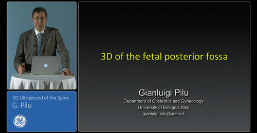 Advanced VISUS - 3D of the fetal posterior fossa