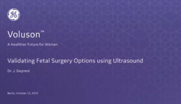 2019 ISUOG - Validating Fetal Surgery Options using Ultrasound (Dr. Deprest)