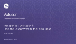 2019 ISUOG - Transperineal Ultrasound: From the Labour Ward to the Pelvic Floor (Dr. Youssef)