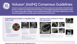 Voluson fetalHQ Consensus Guidelines (2020)