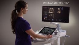 2017 Voluson Expert Realtime 4D Fetal ...