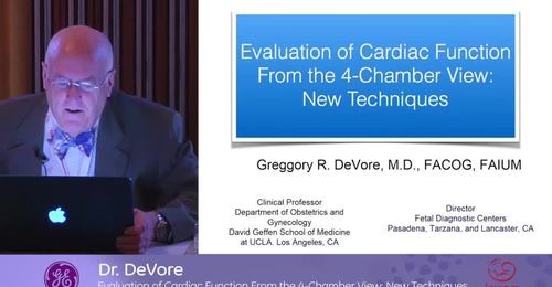 ISUOG 2016 Meet the Expert: Dr. DeVore Evaluation of Cardiac Function From the 4-Chamber View