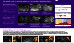 Endometrium Assessment Poster (2021, Voluson)