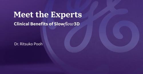 ISUOG 2021- Clinical Benefits of Slowflow3D (Dr. Pooh)