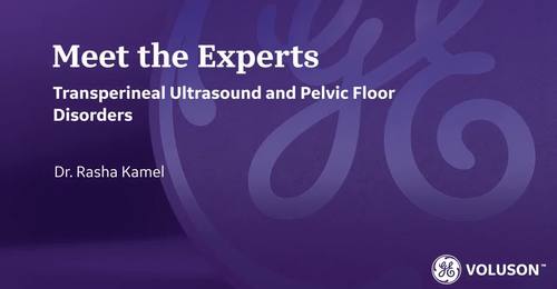 ISUOG 2021- Transperineal Ultrasound and Pelvic Floor Disorders (Dr. Kamel)