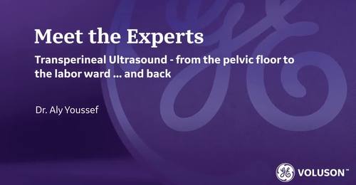 ISUOG 2021-Transperineal Ultrasound from pelvic floor - Dr. Aly Youssef
