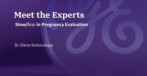 ISUOG 2021- Use of Slowflow in Pregnancy Evaluation (Dr. Sinkovskaya)