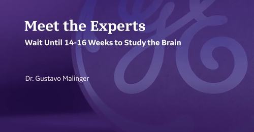 ISUOG 2021- Wait Until 14-16 Weeks to Study the Brain (Dr. Malinger)