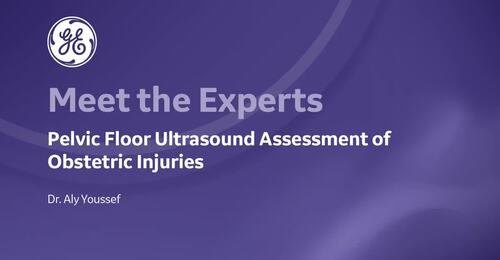 ISUOG 2022 - Pelvic Floor Ultrasound Assessment of Obstetric Injuries (Dr. Youssef)