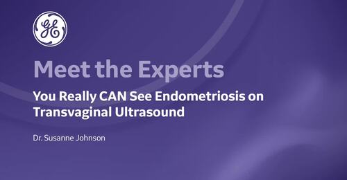 ISUOG 2022 - You Really Can See Endometriosis on Transvaginal Ultrasound (Dr. Johnson)