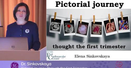 ISUOG 2016 Meet the Expert:  Dr Sinkovskaya- Pictorial Journey Through the 1st Trimester