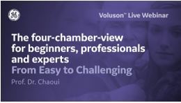 The four-chamber-view – From Easy to Challenging – Prof. Dr. ...