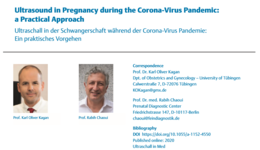 Ultrasound in Pregnancy during the Coronavirus ...
