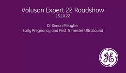 Voluson Expert 22 Roadshow-Dr Meagher-Early Pregnancy