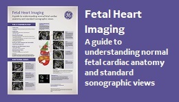 Fetal Heart Poster (EN)