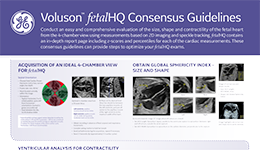  Voluson fetalHQ Consensus Guidelines (2020)