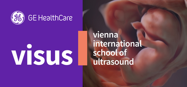 VISUS Courses in the Nordics and the Netherlands